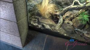 Lily Adams La Jolla Part 3